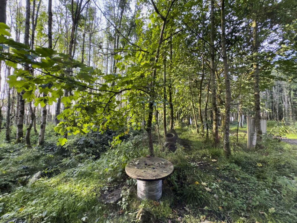 Crokers Farm Motorhome, Camping Forest